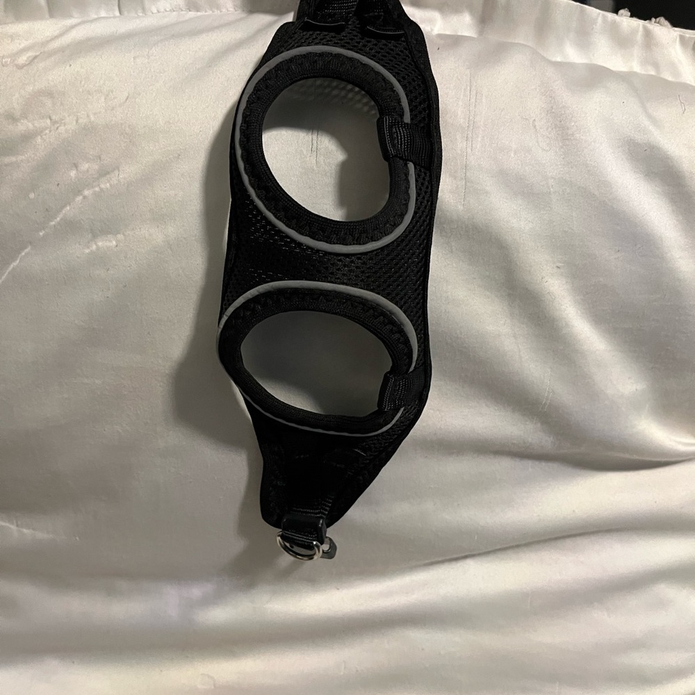Harness